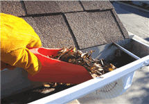 Scooping Leaves And Debris From Gutter