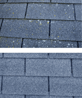 Roof Cleaning Comparison